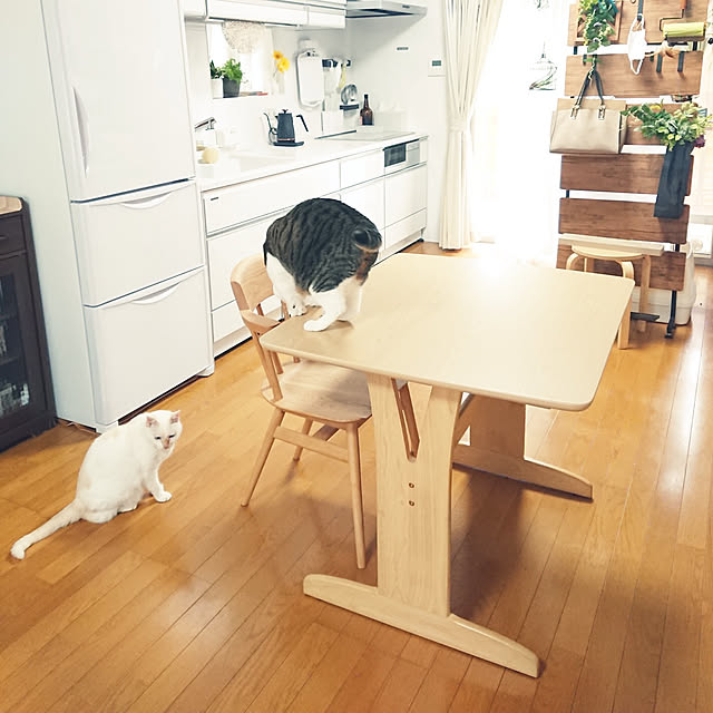 nachiさんの実例写真