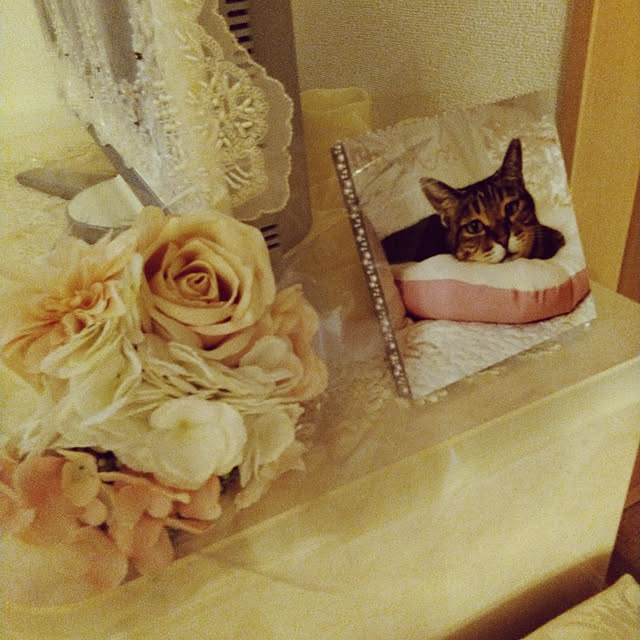 lilyさんの実例写真
