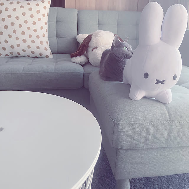 snoopyさんの部屋