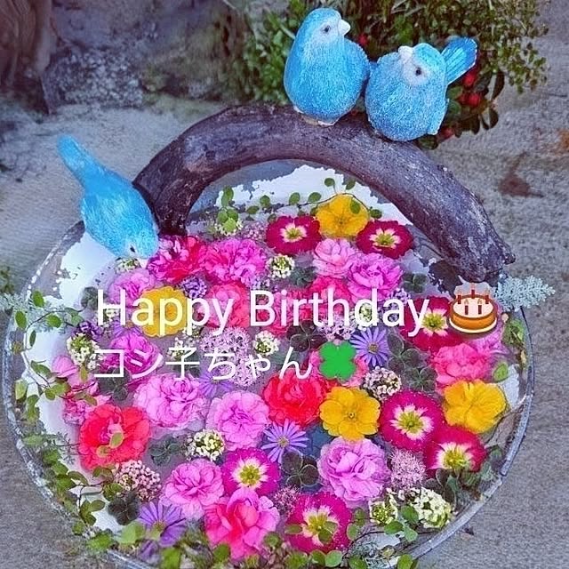 mocomocoさんの実例写真