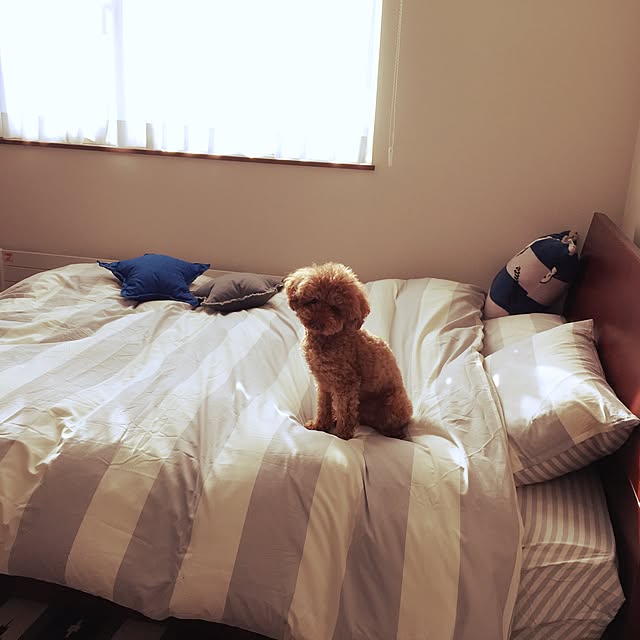 i-tmomさんの実例写真