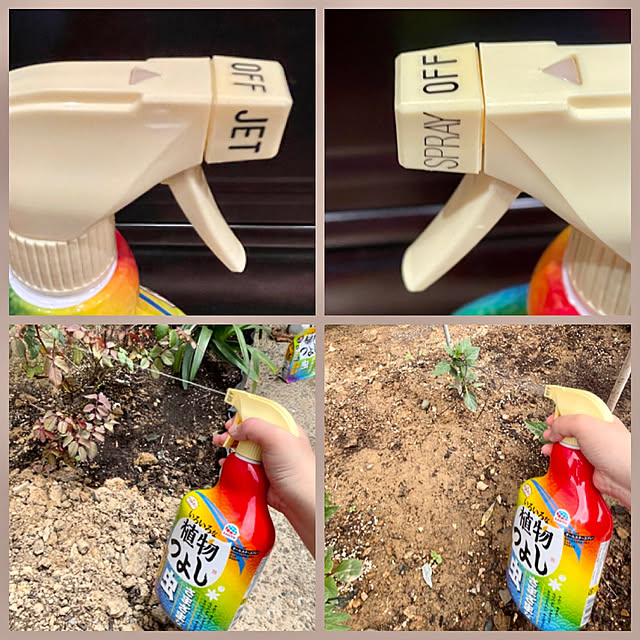 SIELUさんの実例写真