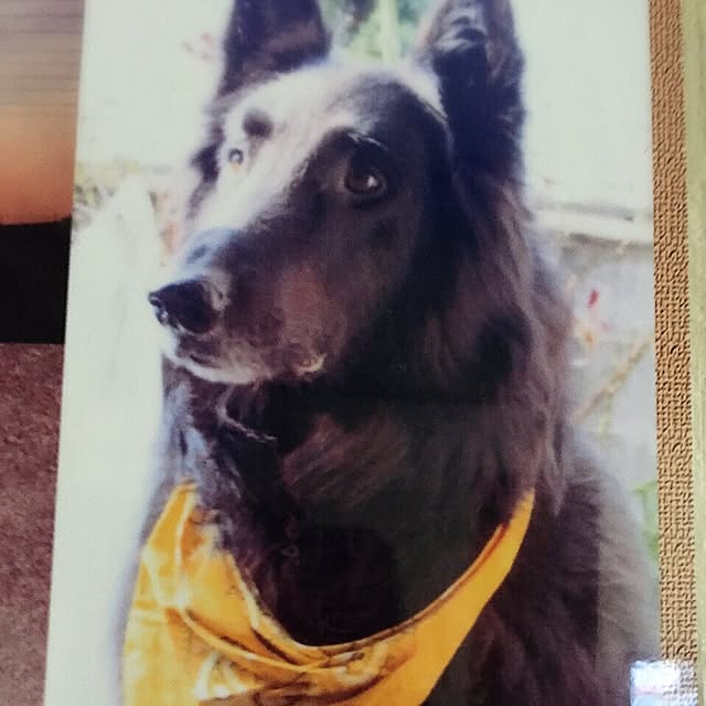 moririnさんの実例写真