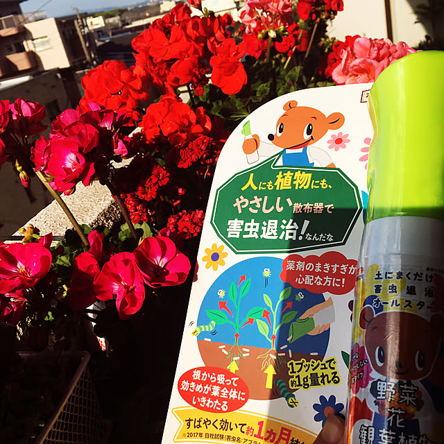 nanaさんの実例写真