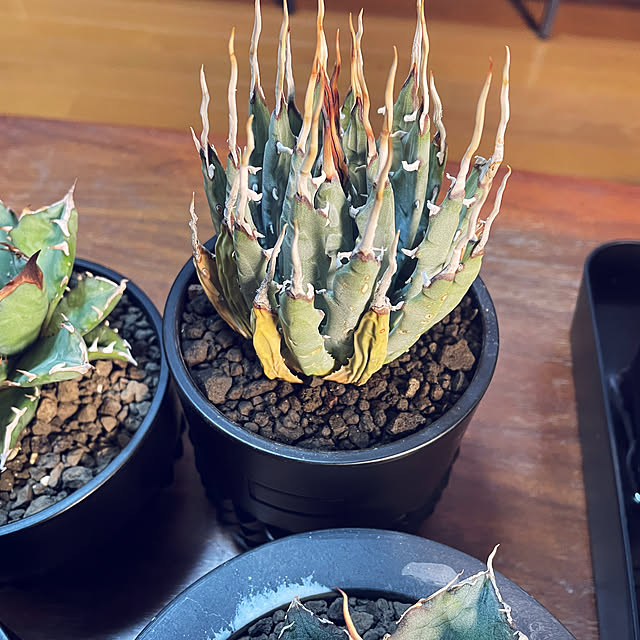 c.kさんの部屋
