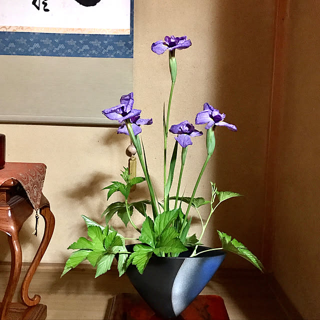 ankoさんの実例写真