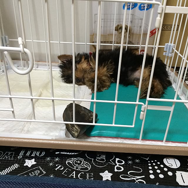 reo0621さんの実例写真