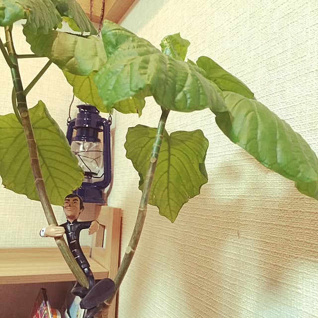 T-A-K-Eさんの実例写真