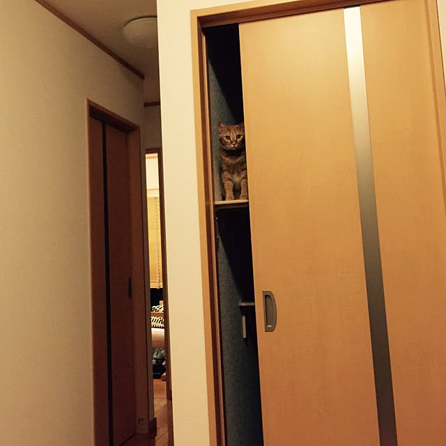 hanaさんの実例写真