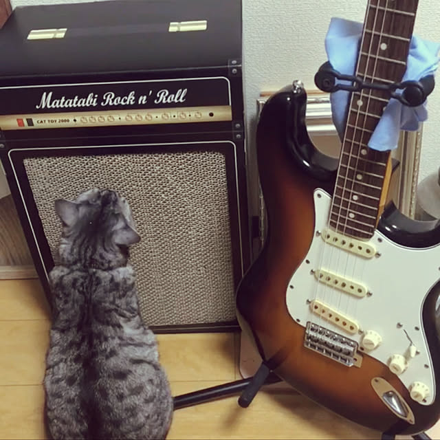 Sherylさんの実例写真