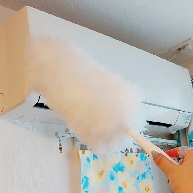 Ruiさんの実例写真