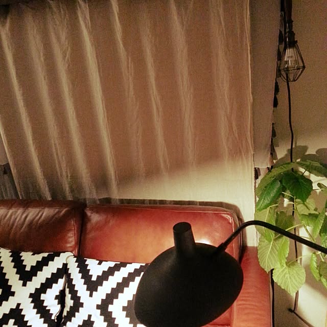 Ayakoさんの実例写真