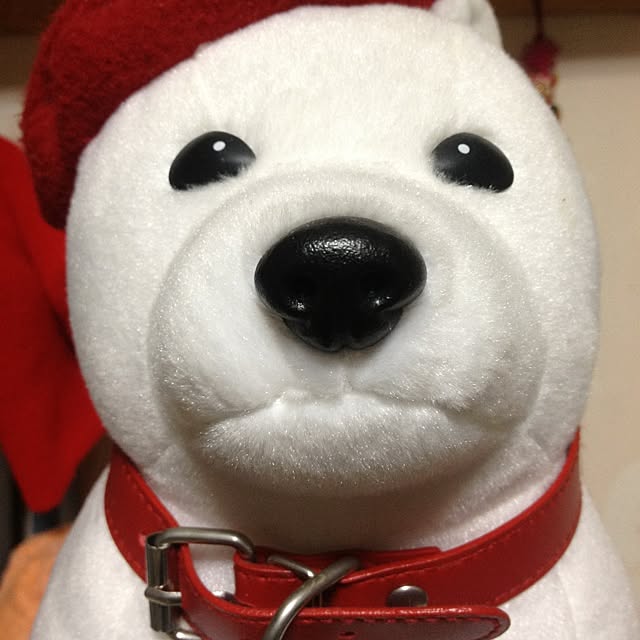 chuntahouseさんの実例写真