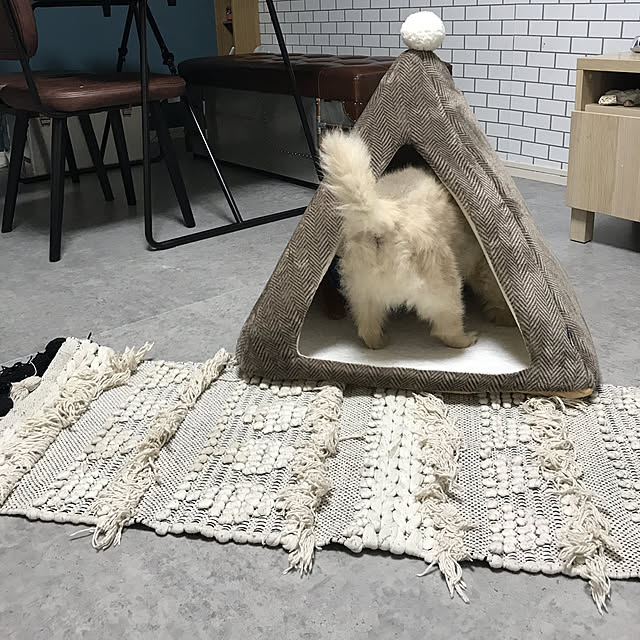 adgjmptwさんの実例写真