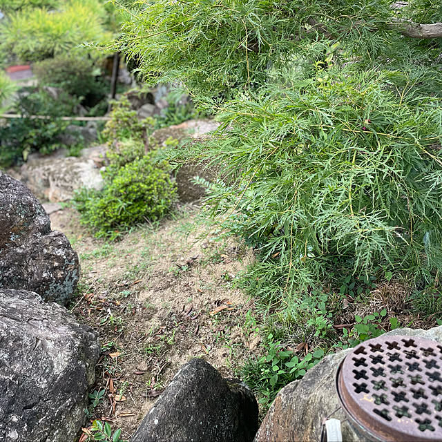 buchiさんの実例写真