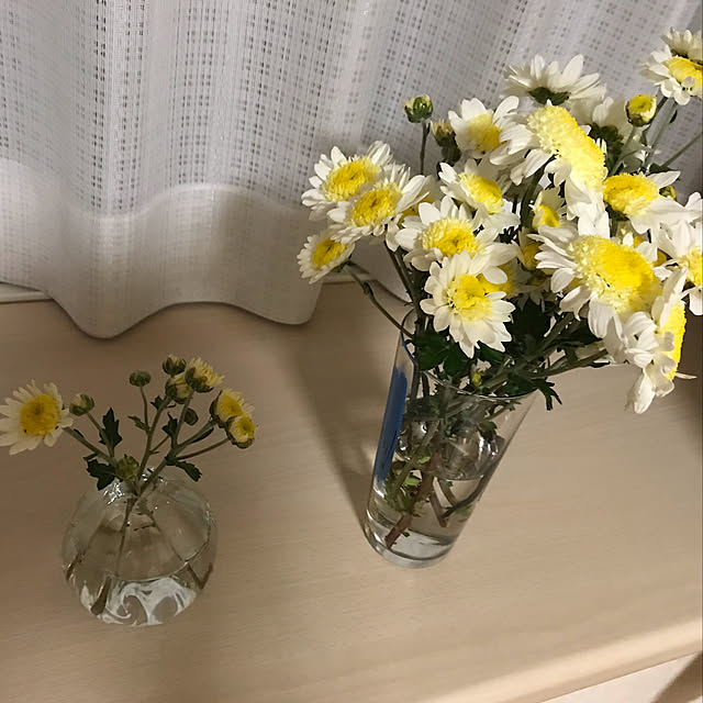 Nanaseさんの実例写真