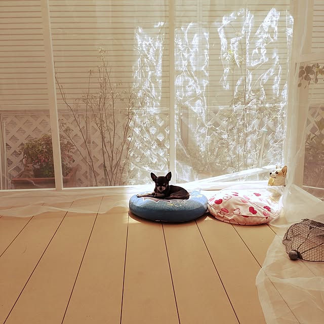 Bienvenueさんの実例写真