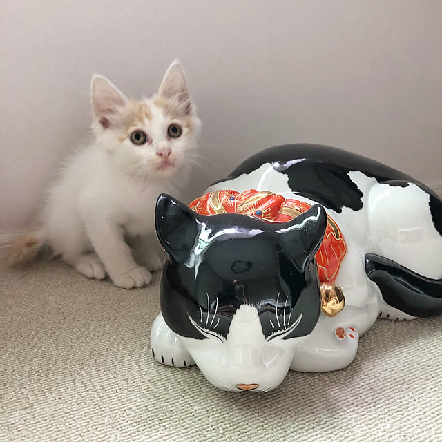 yuchiさんの実例写真