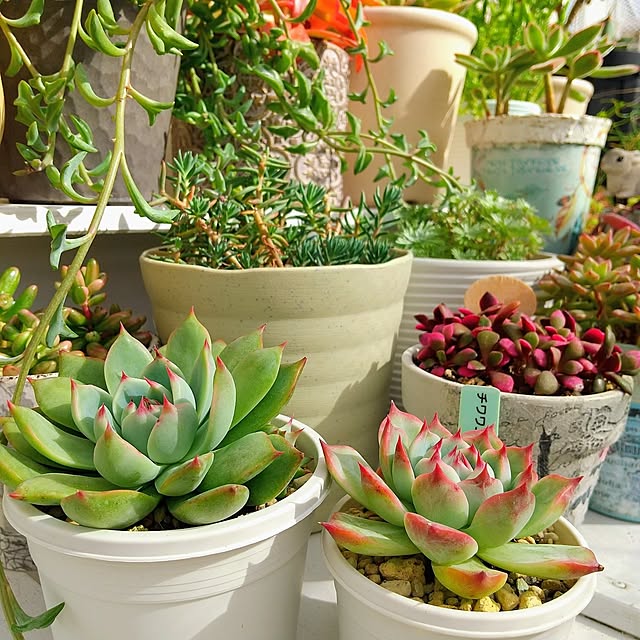 meiさんの実例写真