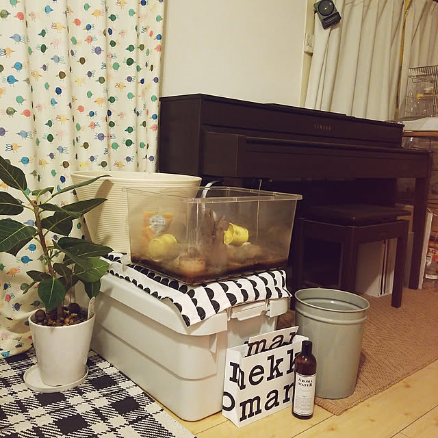 m-kinocoさんの実例写真