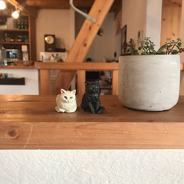 hachi1023さんの実例写真