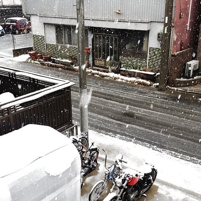 aozoraさんの実例写真