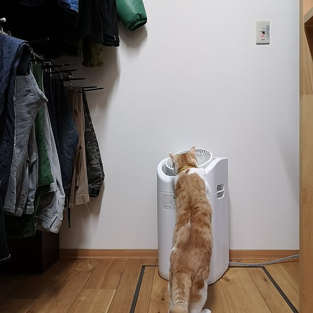 koyurizuさんの部屋