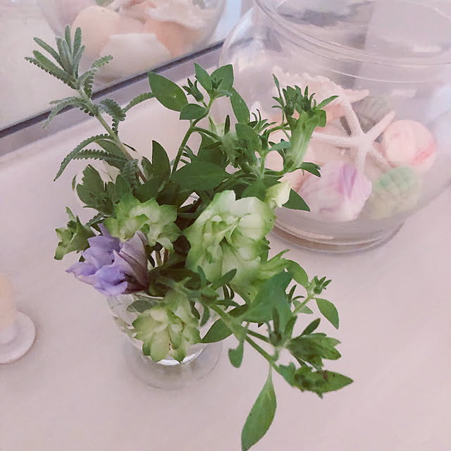 ange.zuzuさんの実例写真