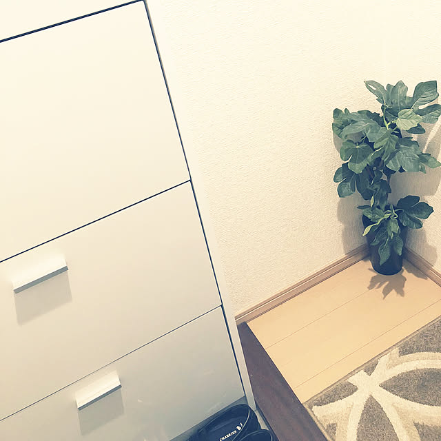 K.corさんの実例写真