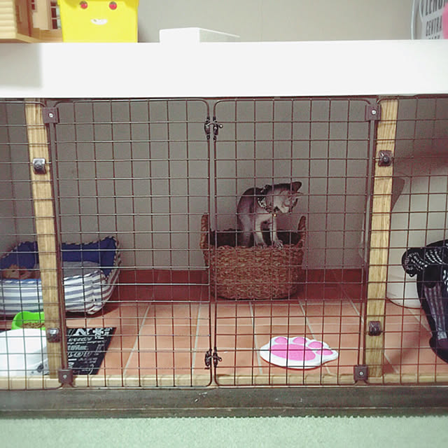 kotoriさんの実例写真