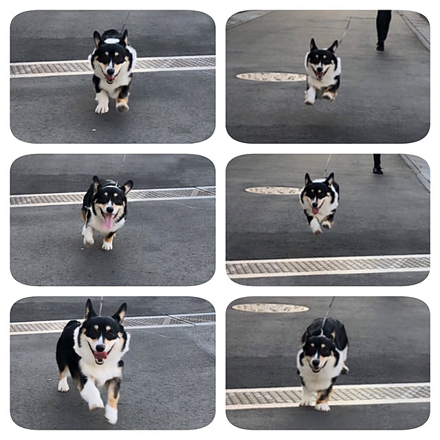 Ruiさんの実例写真
