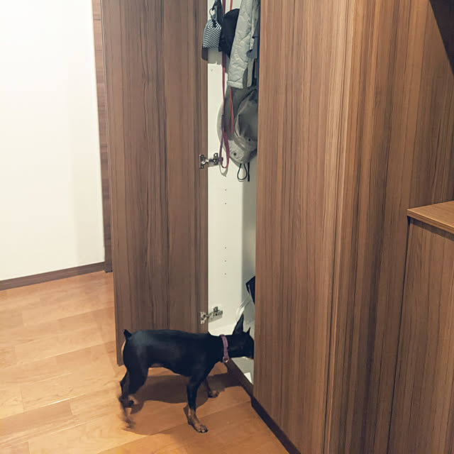 shizuponさんの実例写真