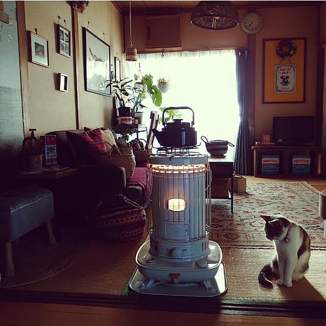 fukuさんの実例写真