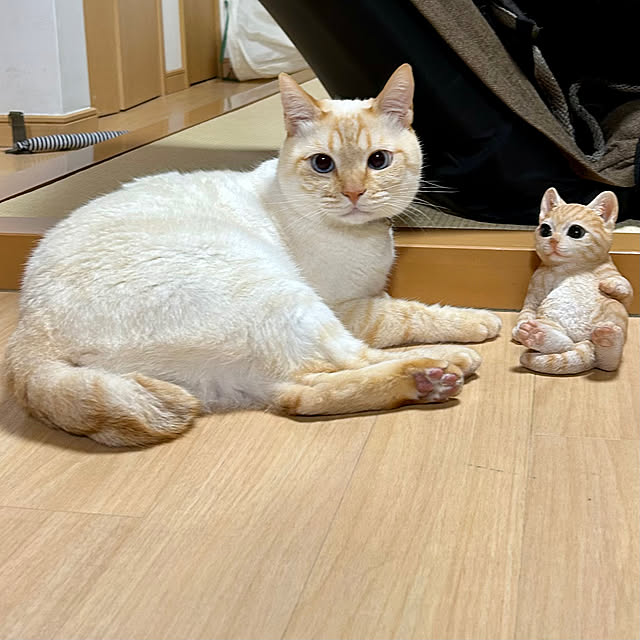milkさんの部屋