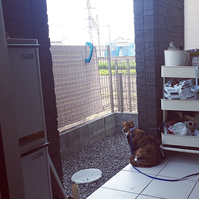 aiさんの実例写真