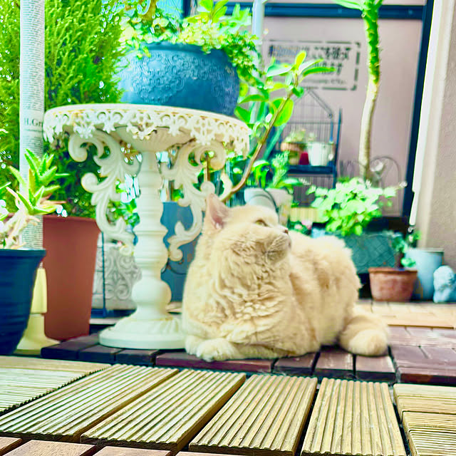 naokoさんの部屋
