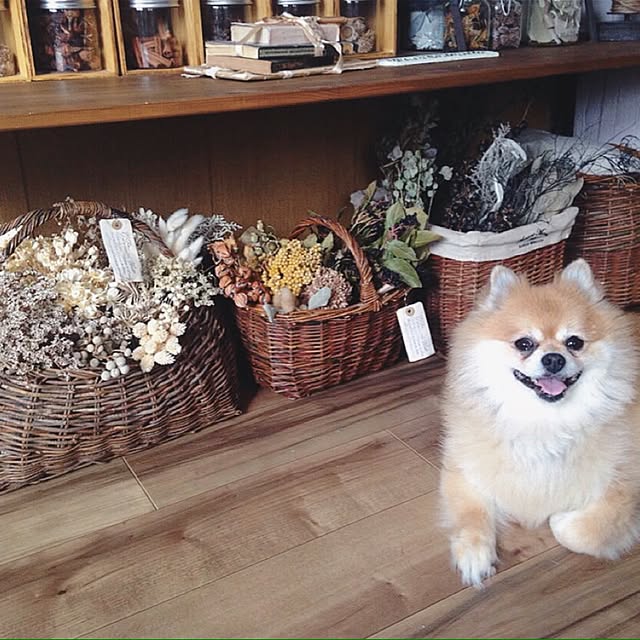 akkyさんの実例写真
