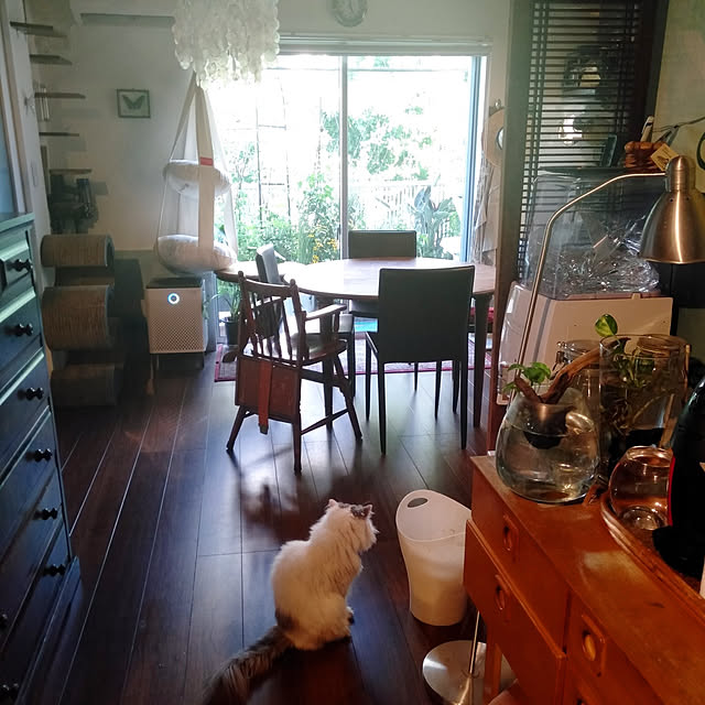 部屋全体のインテリア実例 - 2022-08-14 00:14:31