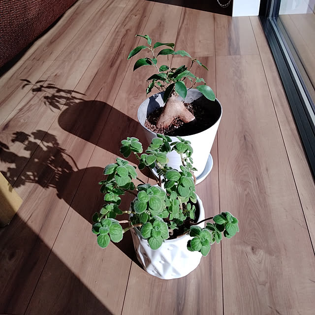 maruさんの実例写真