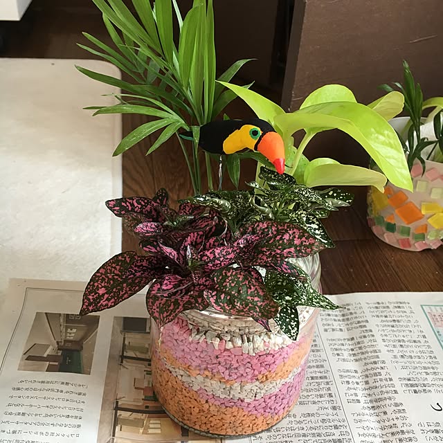 sasaさんの実例写真
