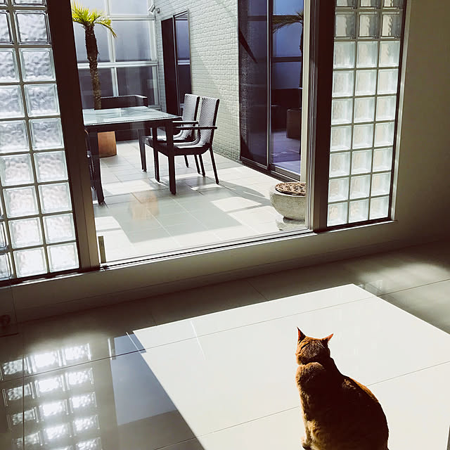 minakoさんの実例写真