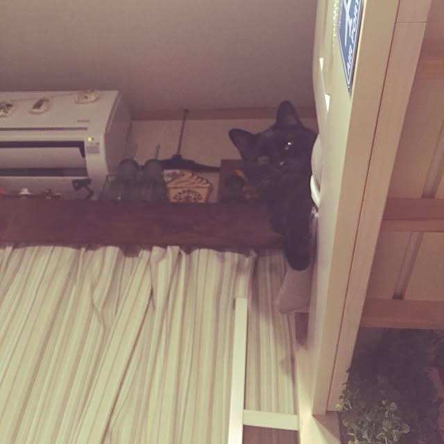 yawatakomachiさんの実例写真