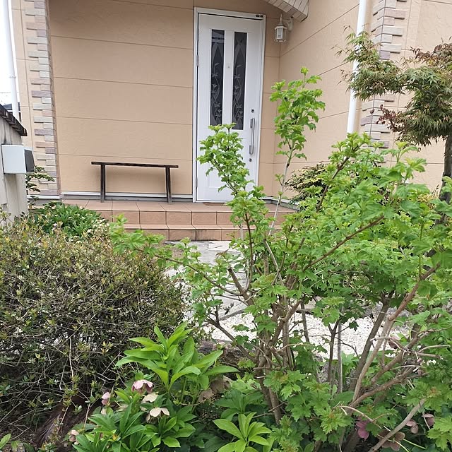 feuileさんの部屋