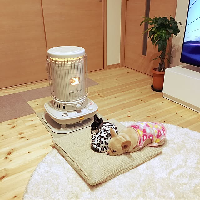 b__r__cさんの実例写真