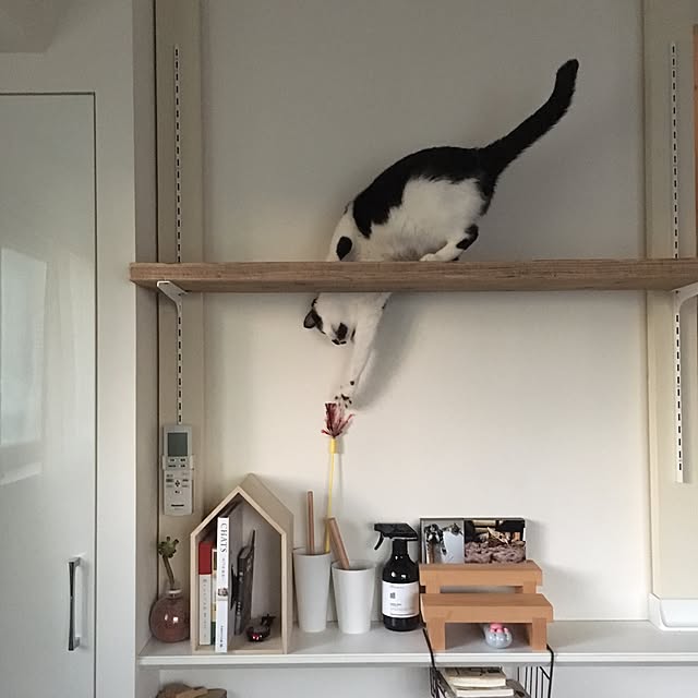 mikomaruさんの実例写真