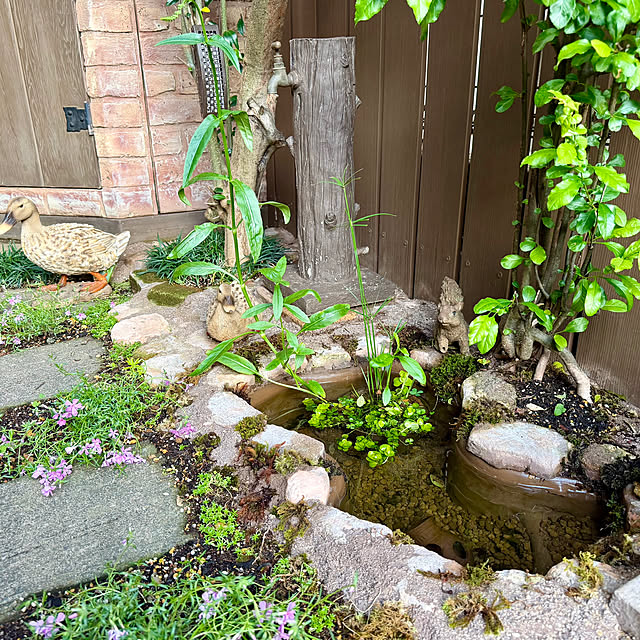 tabasaさんの部屋