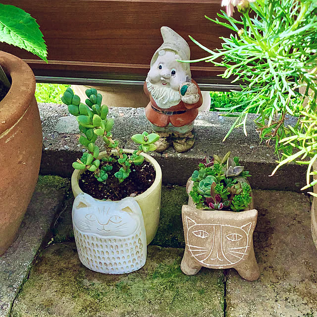 haruminさんの実例写真