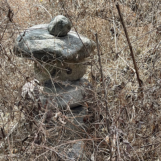 mamanさんの部屋