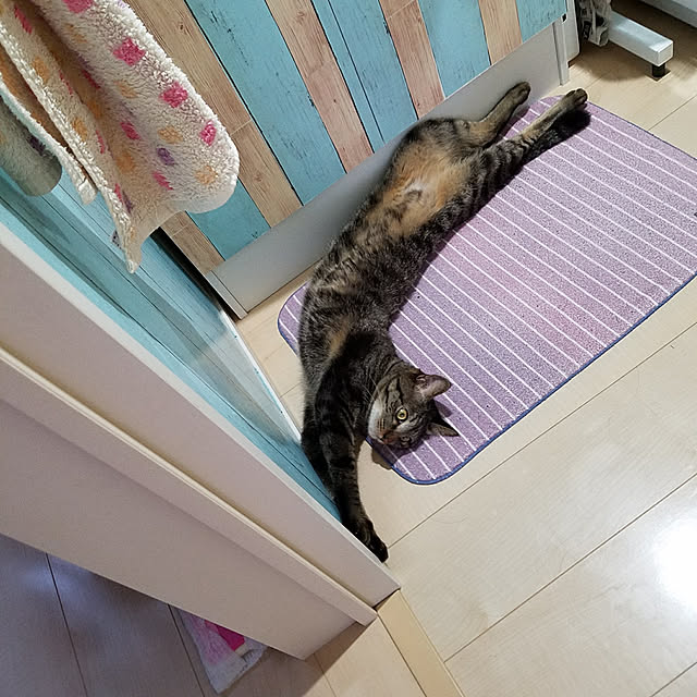 k-ai323さんの実例写真