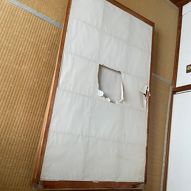 domさんの部屋